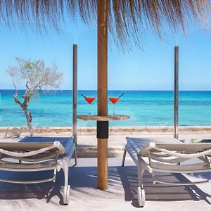 Ferrer Concord & (adults Only) **** Can Picafort (Mallorca)